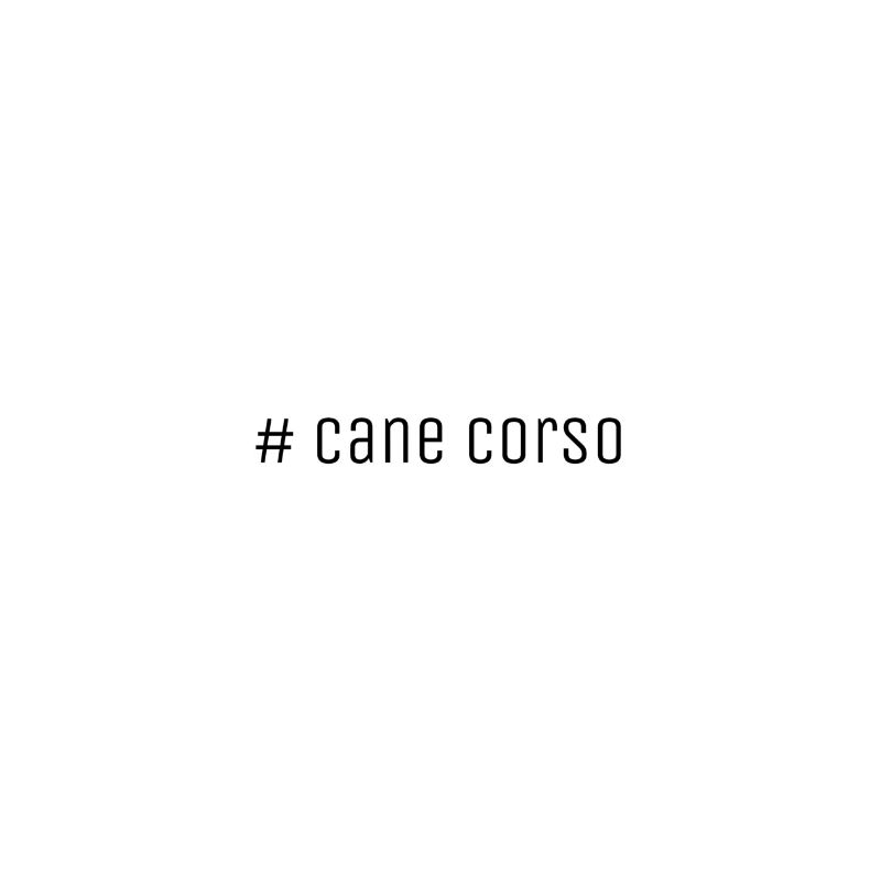 Cane Corso lettrage noir