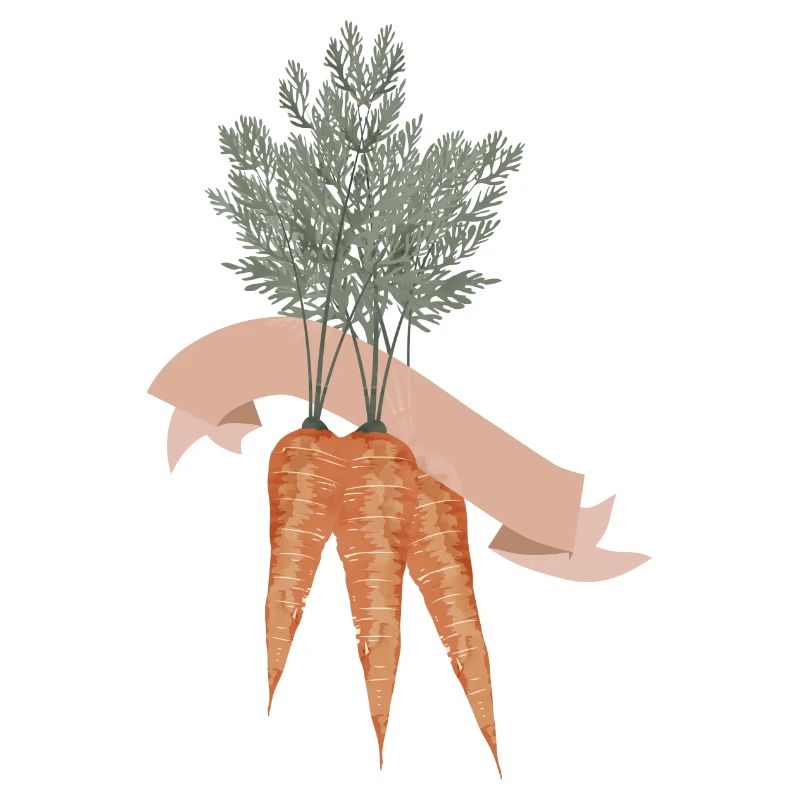 Three carrots in a bunch with blank banner