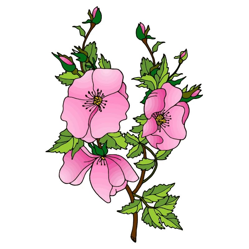 Fleur