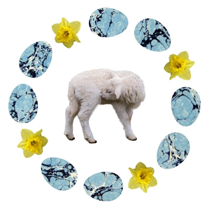 mouton dans la couronne d’œufs avec narzissen e 55