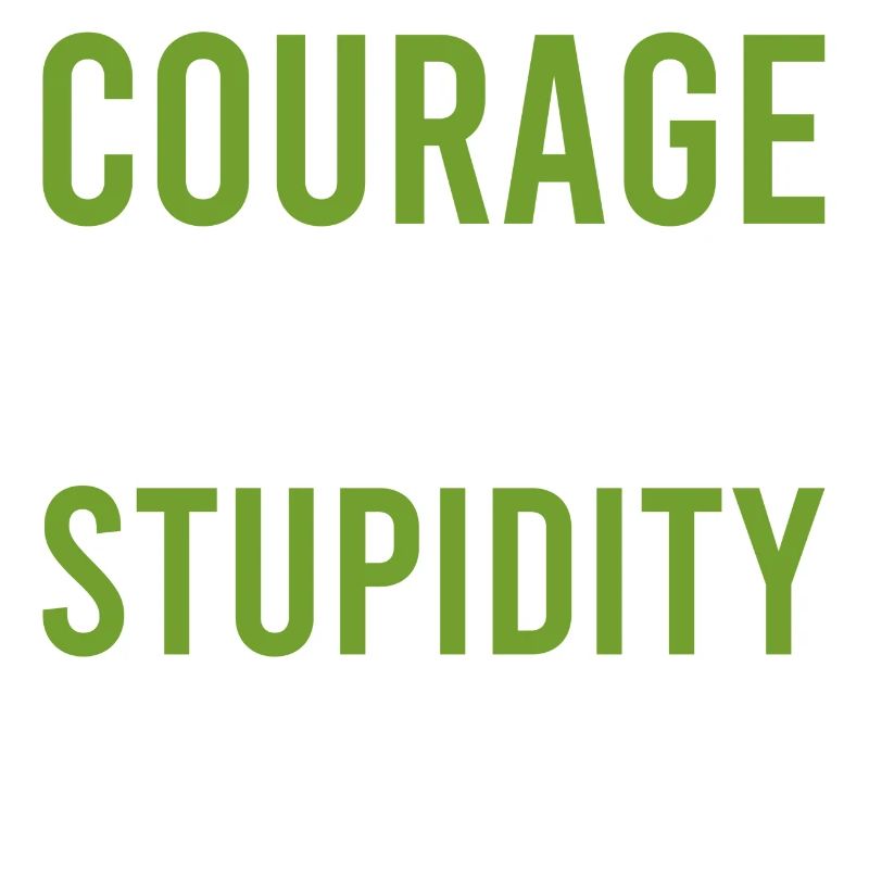 Courage Stupidity Courage and Stupid Gift