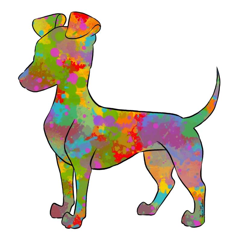 Manchester Terrier Multicolore