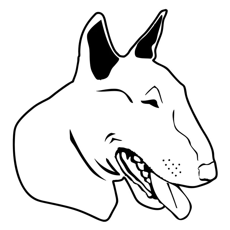 Bull terrier de