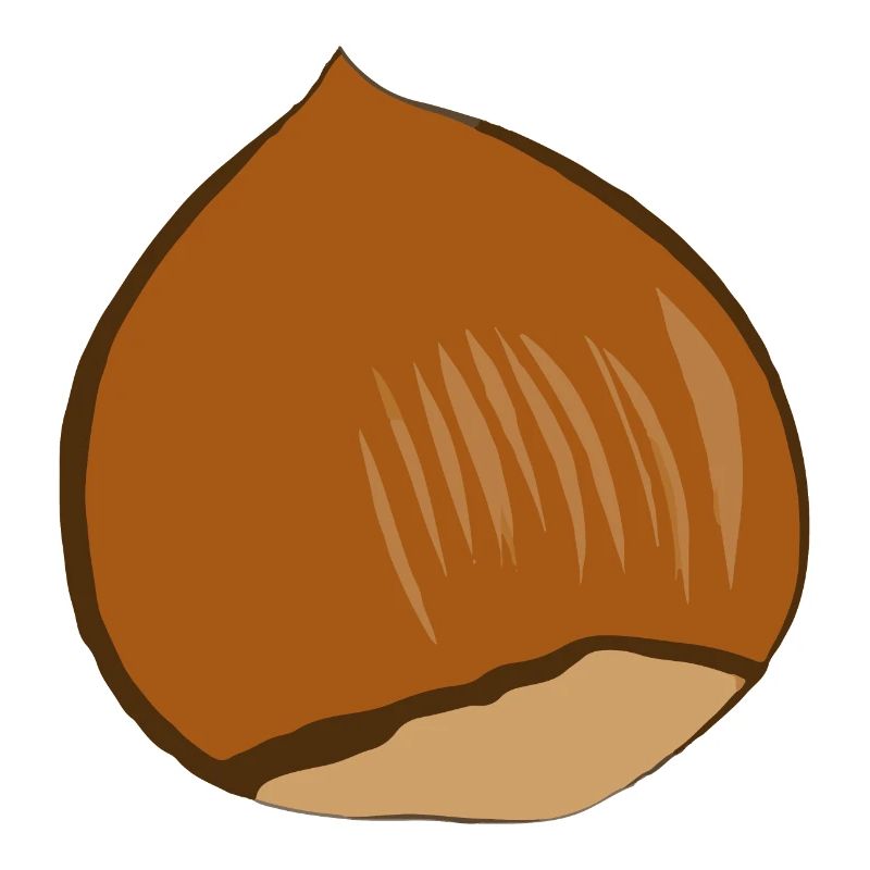 Hazelnut