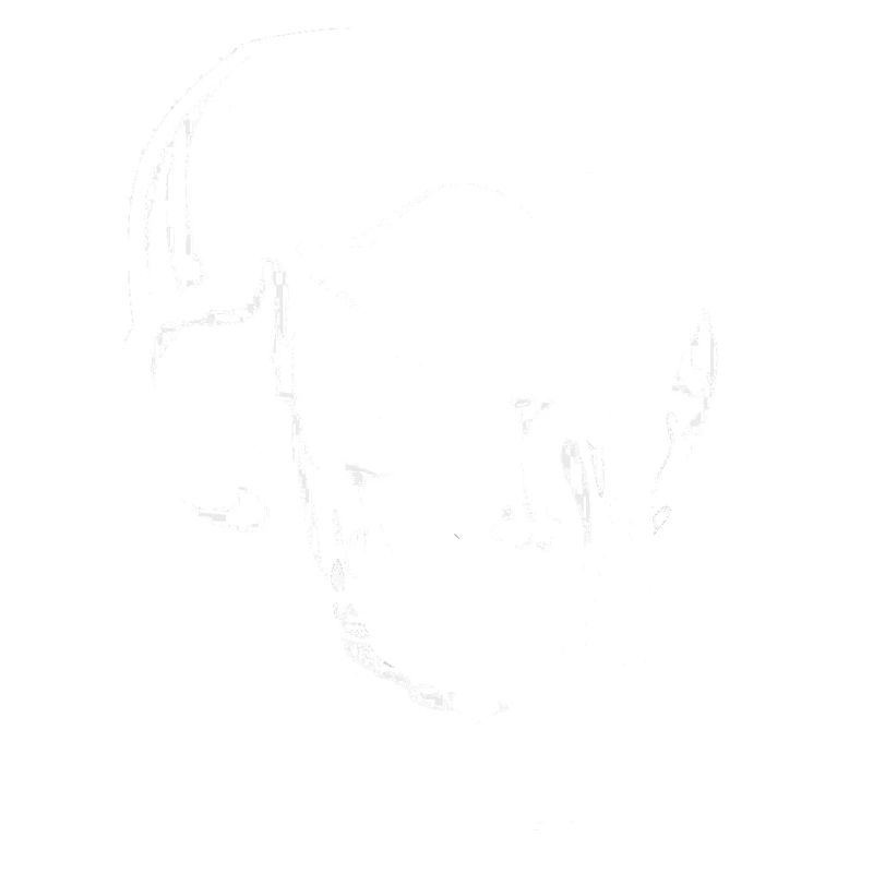crying skull