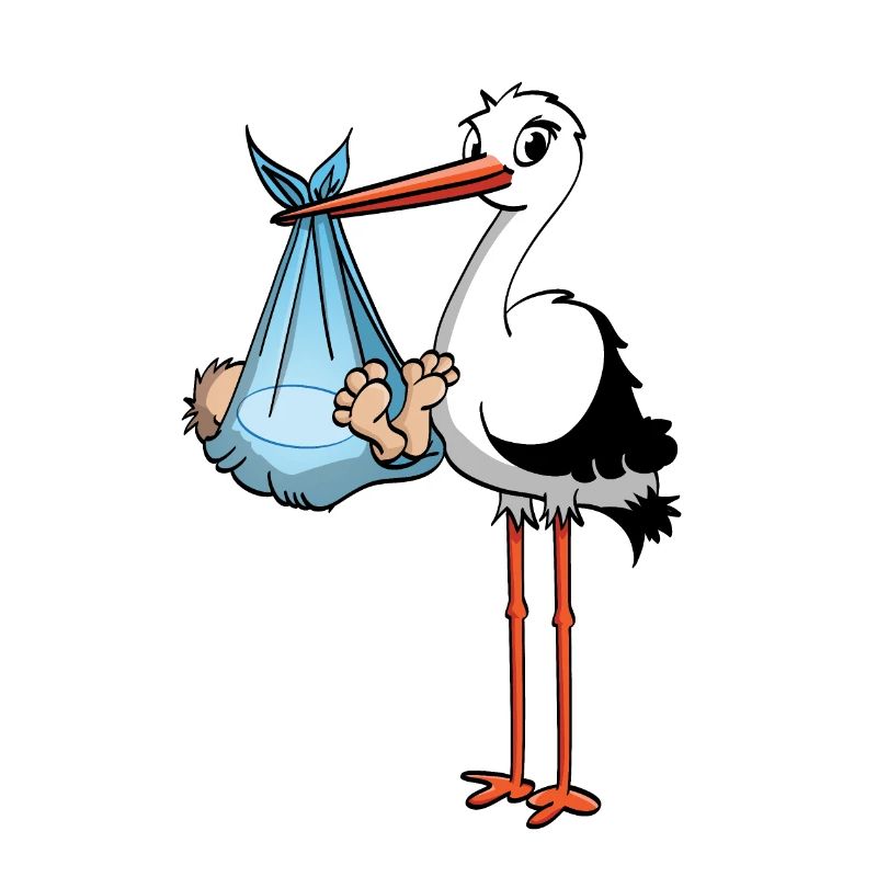 Der Storch und der kleine Junge