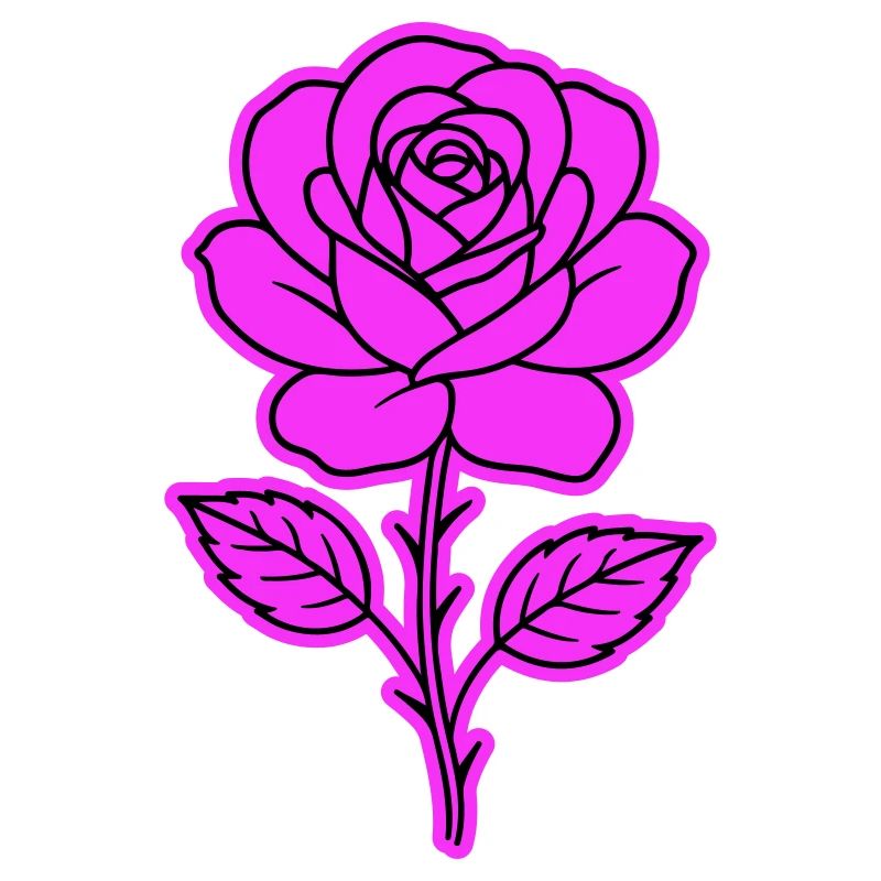 Rose Contour