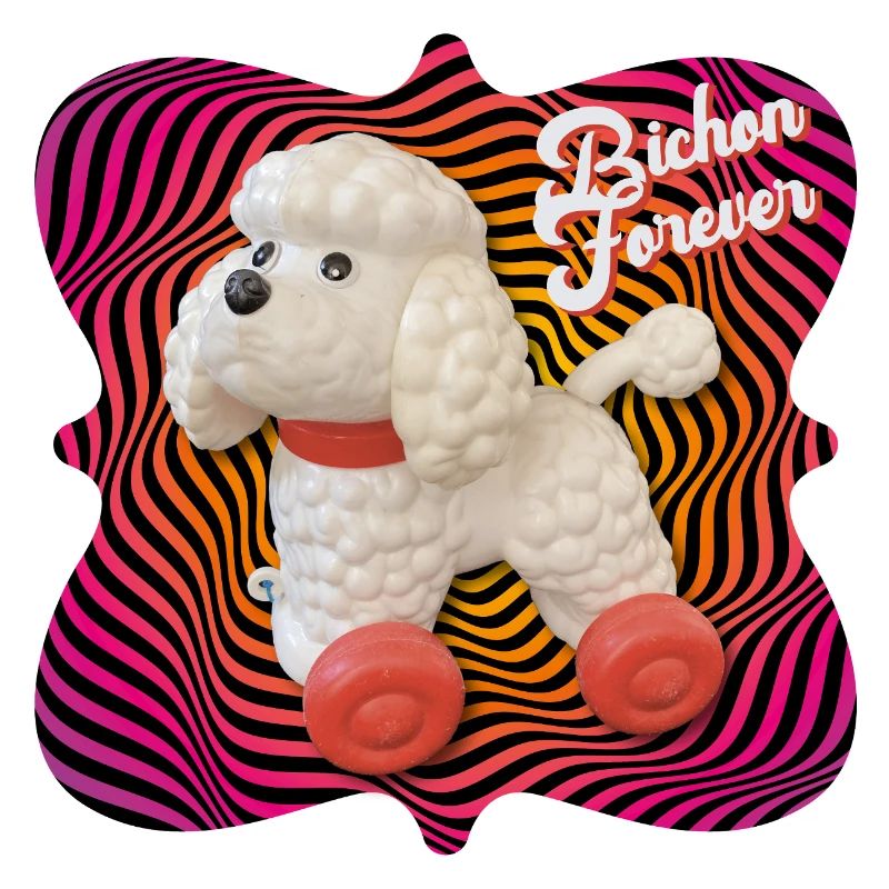 Psychedelic Bichon Forever