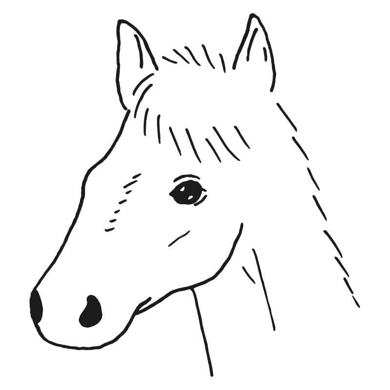 Dessin de cheval