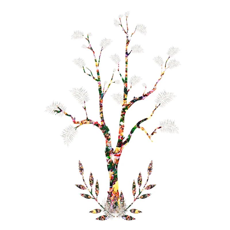 Flowering tree leaves white feathers