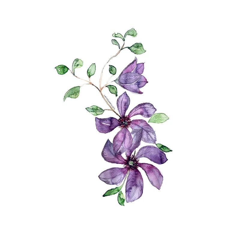 Vrille fleurie