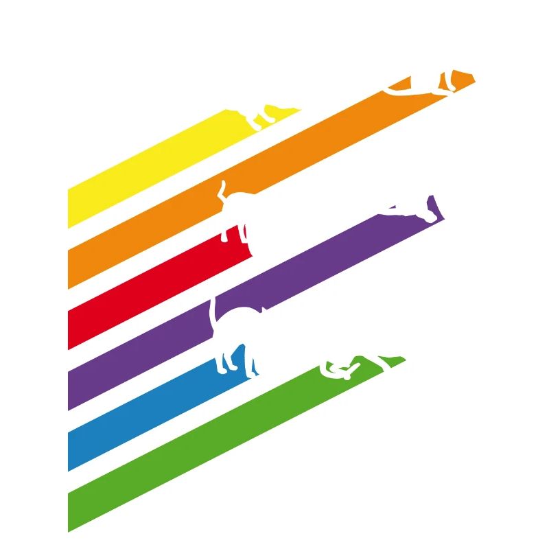 Rayures de chats