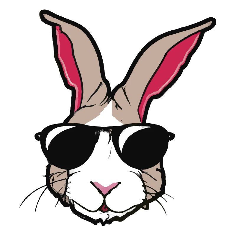 Rabbit with sunglasses Rabbit's head Gift idea