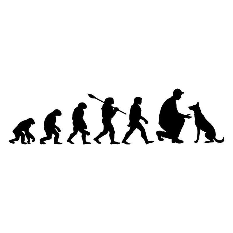 Evolution Lustiger Belgischer Malinois-Schäferhund