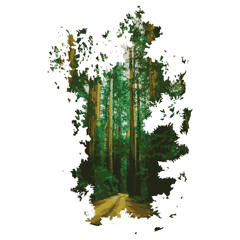 Forêt
