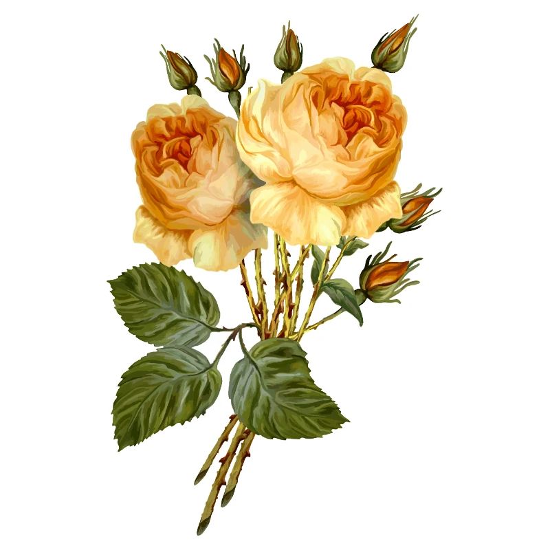 Fleur