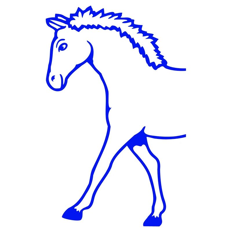Half Horse Front Part Front Half Front Goes