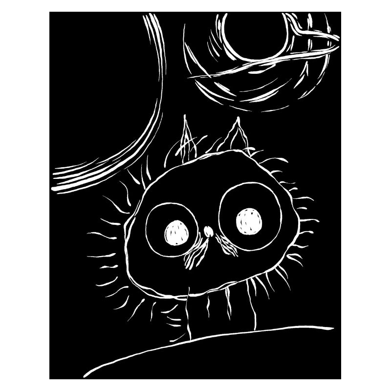 Chat dans l’espace