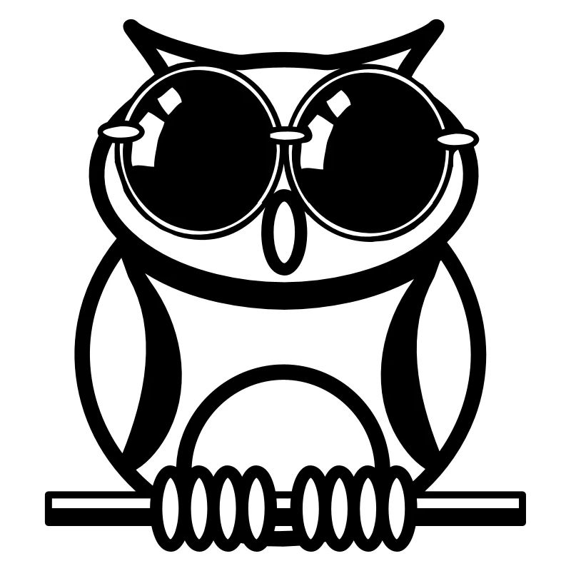 Lunettes de soleil de hibou