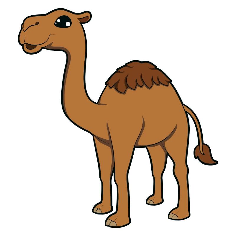 Kamel
