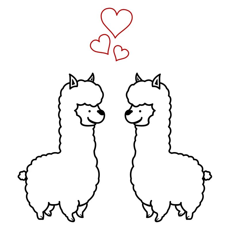 Amour de l’alpaga