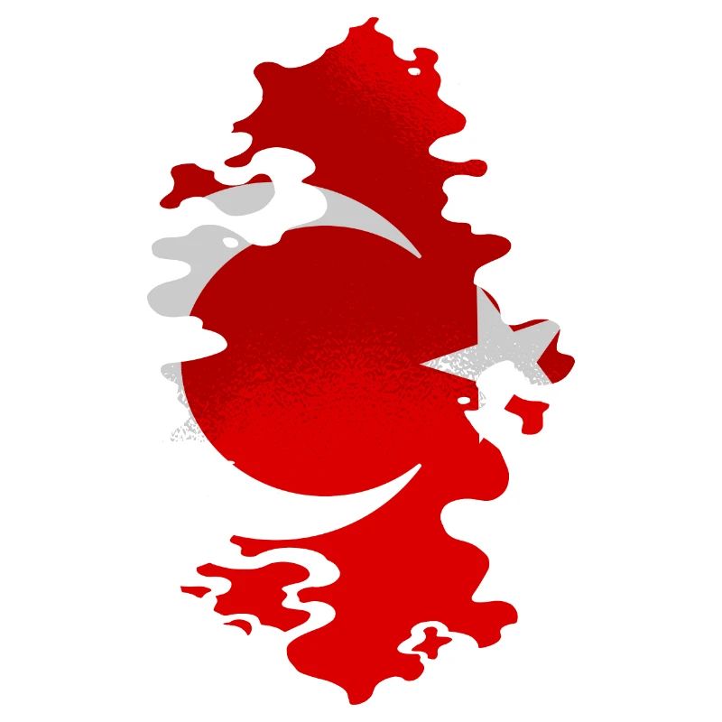 Drapeau de Turquie Utilisé Look Drapeau Turc Vintage