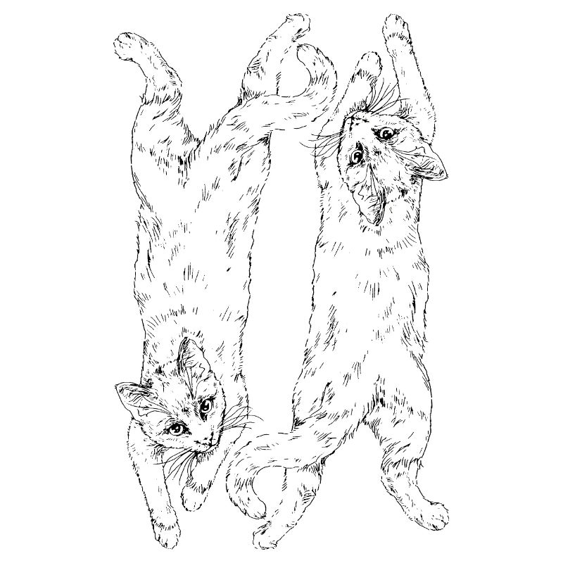 Chats