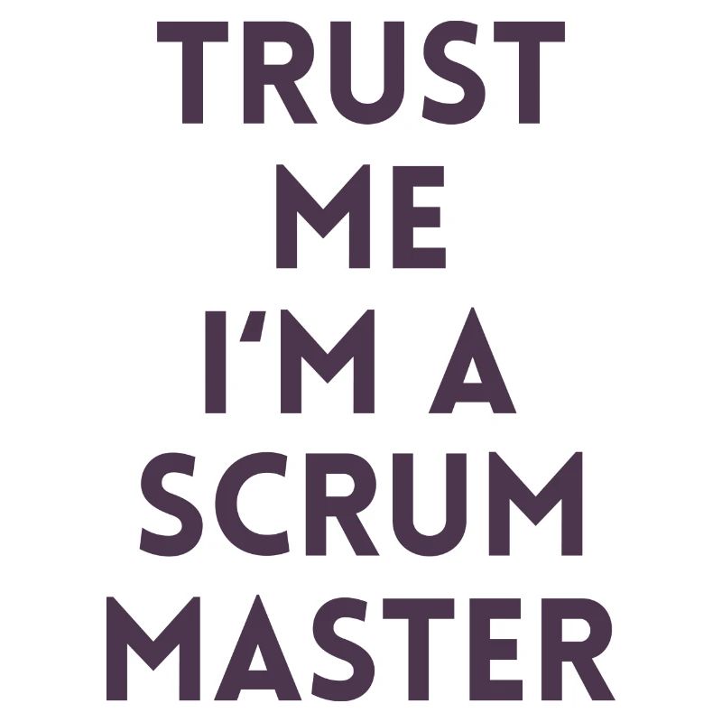Trust me I’m a scrum master cadeau code ordinateur