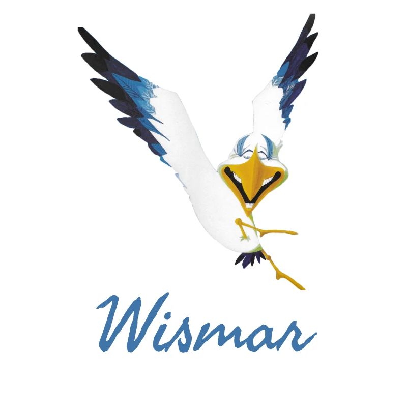 Lachmöwe Wismar