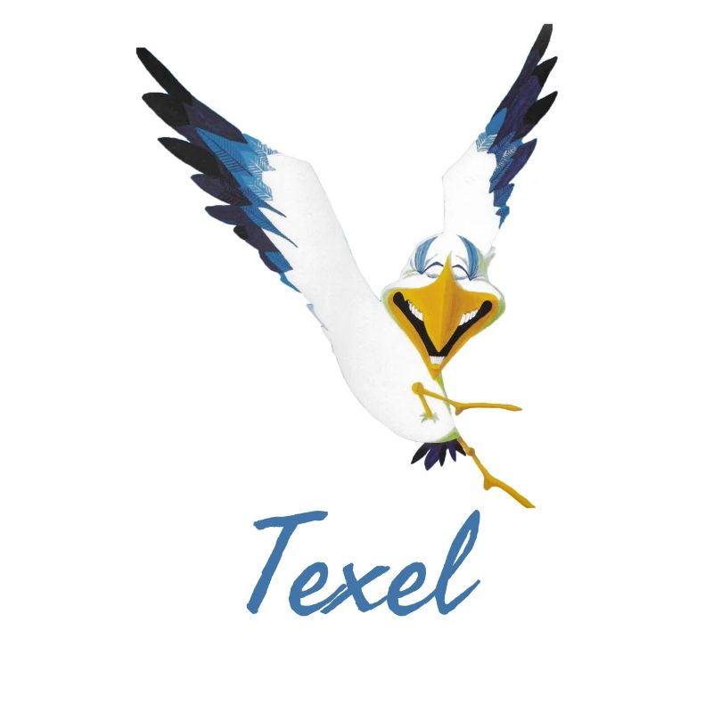 Lachmöwe Texel