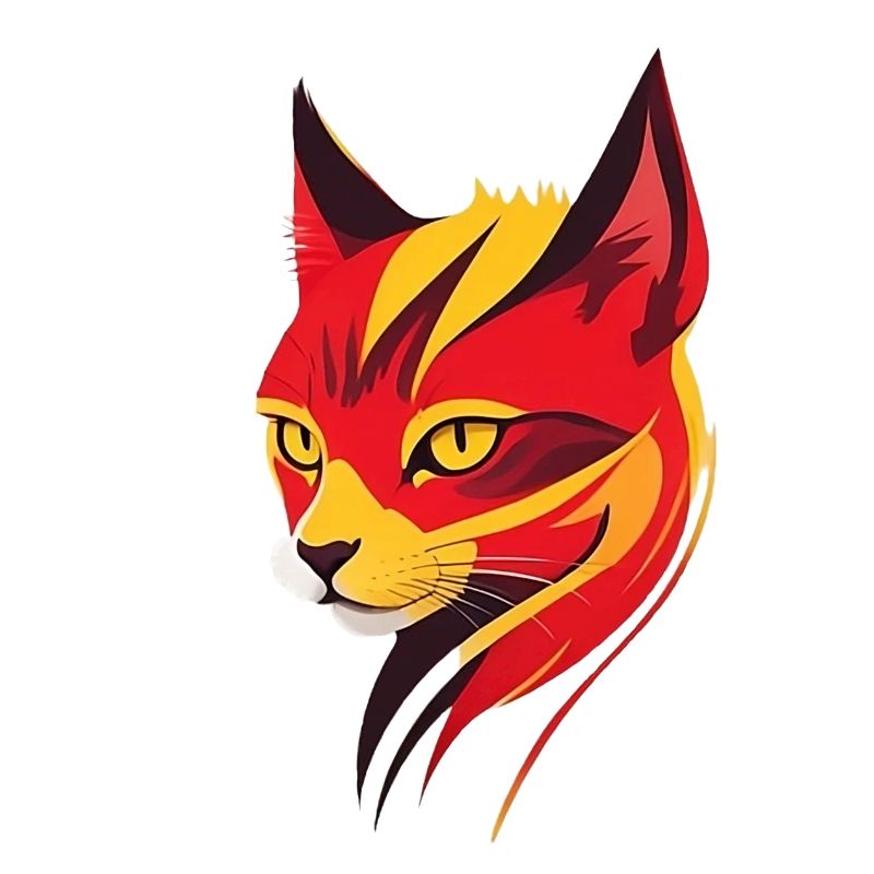 Chat