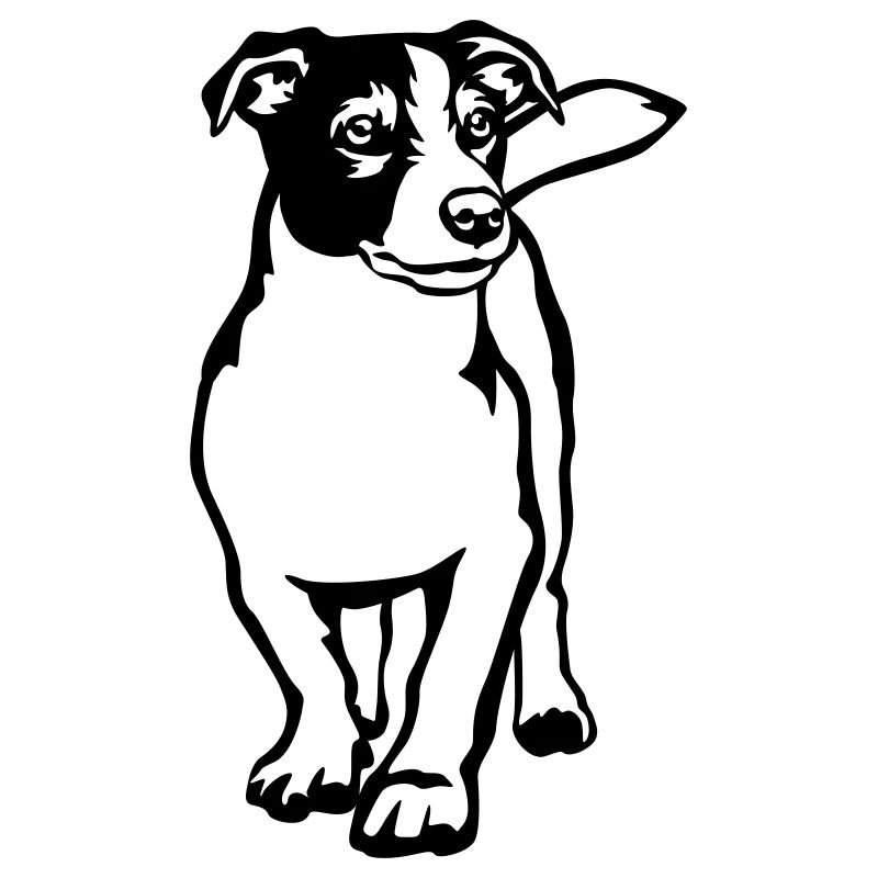 Jack Russell Terrier
