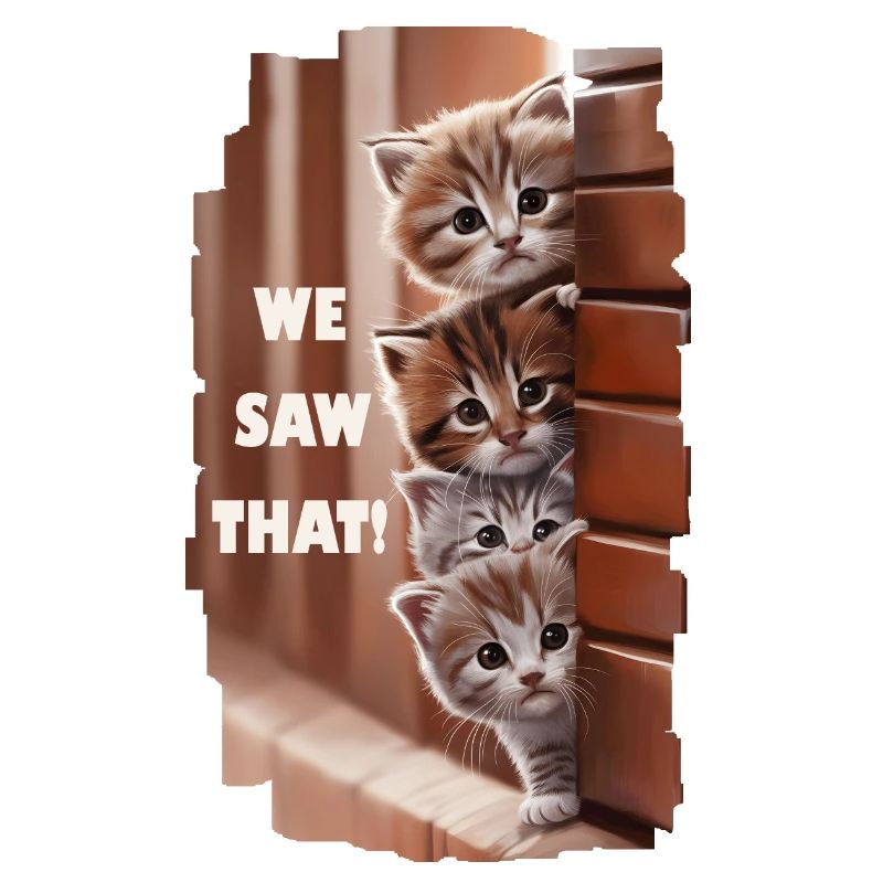 We saw that! - Curious cats see everything!