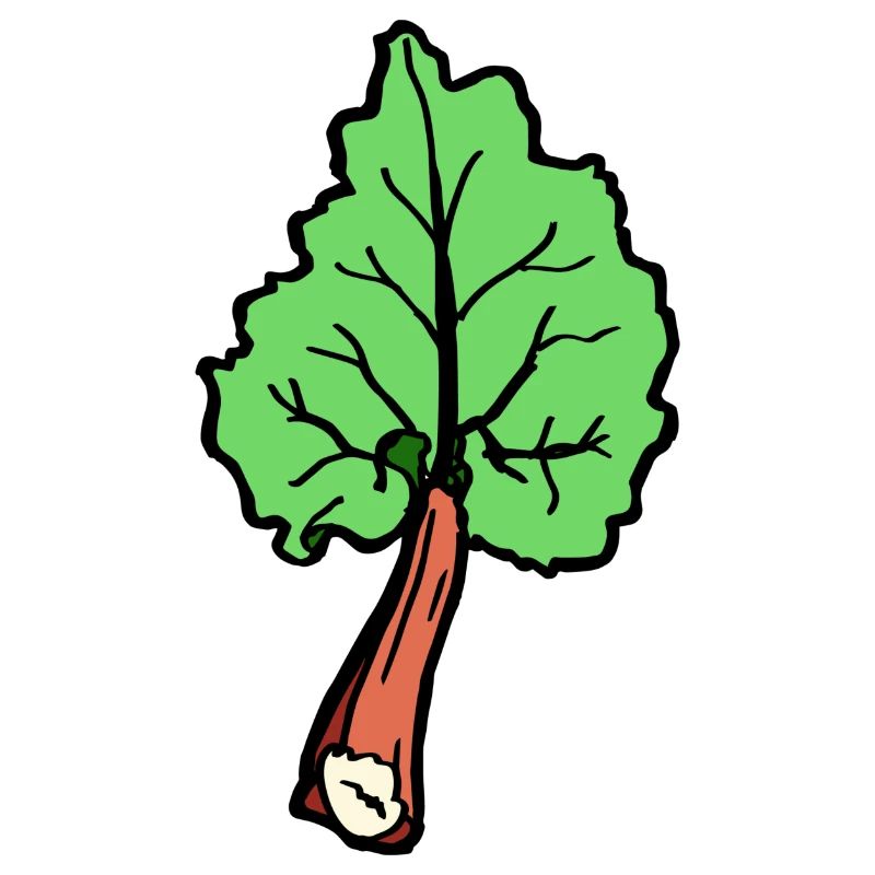 Rhubarb Vegetable Leaf Fun Gift Idea Garden