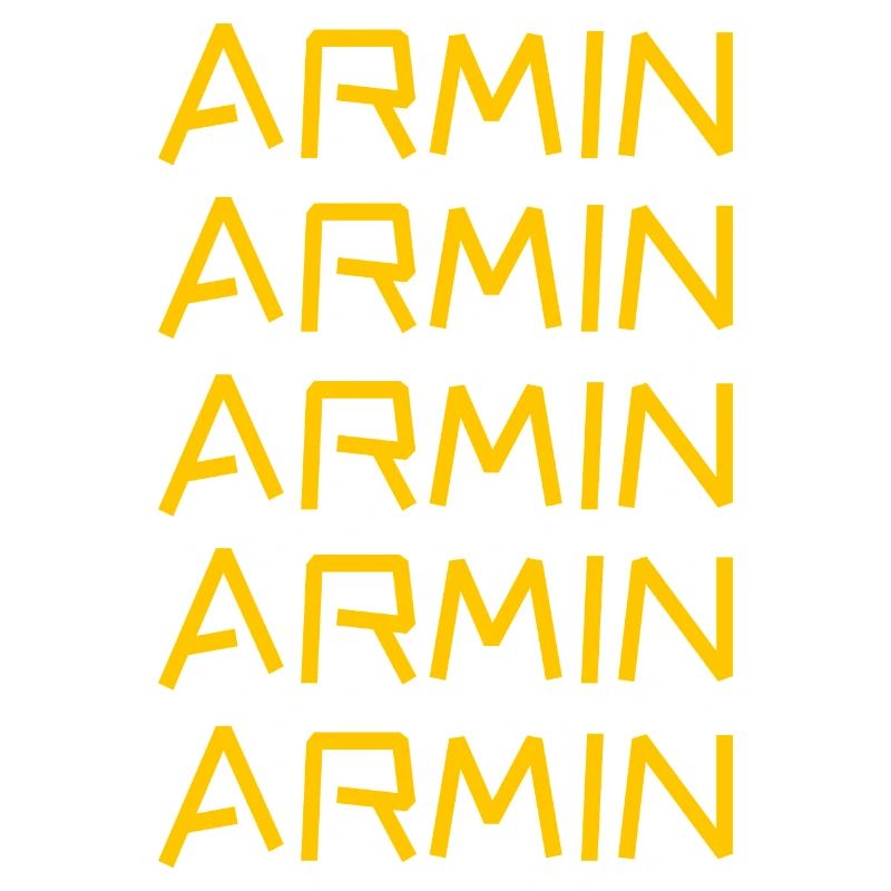 Armin as a first name