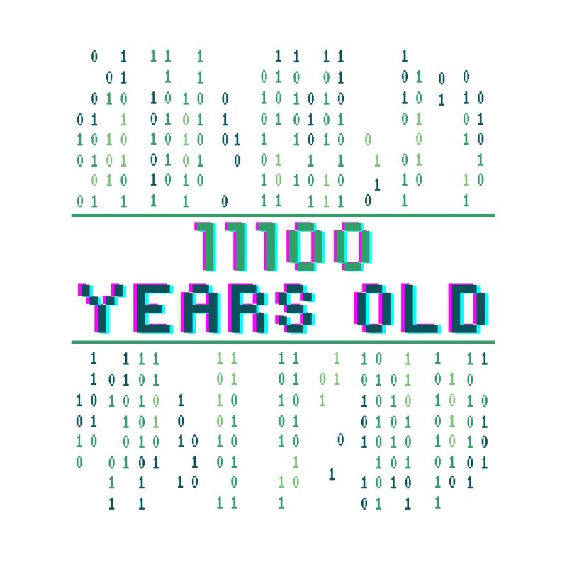 28. Geburtstag 28 Jahre alt Binärcode Coder