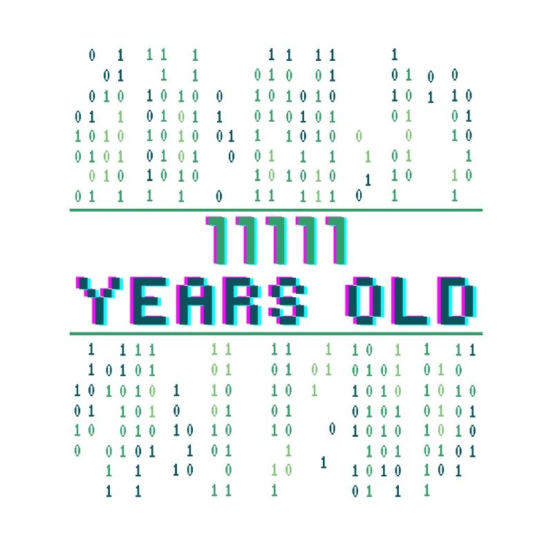31st birthday 31 years old Binary Code Computer Science
