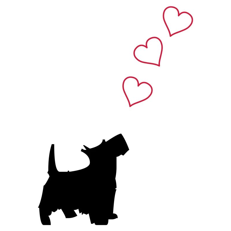 petit chien