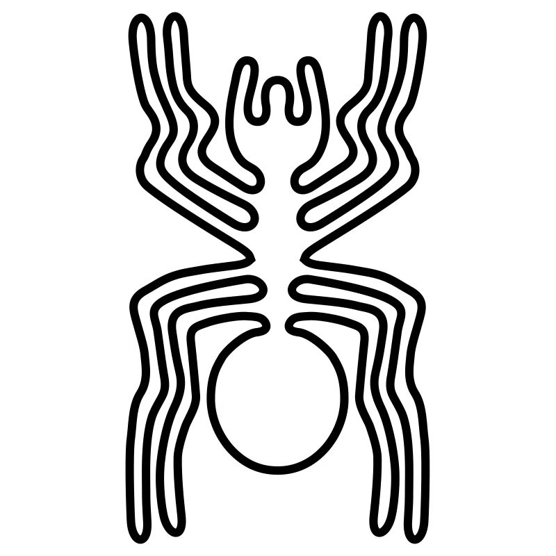 Araignée Nazca