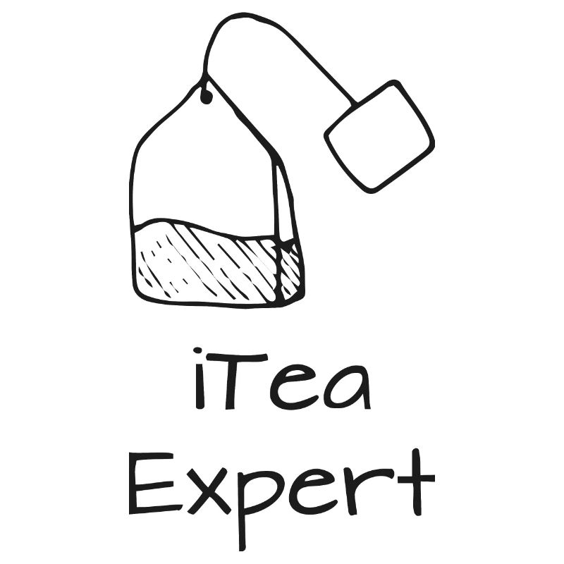 Itea expert Programming Informatic Geschenk