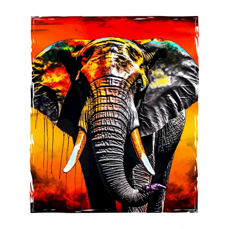 Portrait d’éléphant