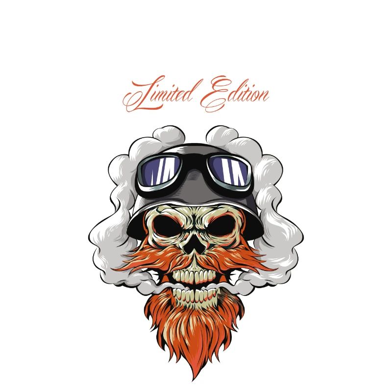 biker skull motorcycle