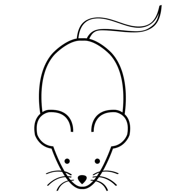 souris