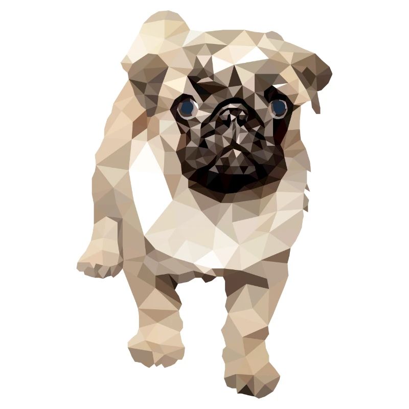 Chien polygone carlin