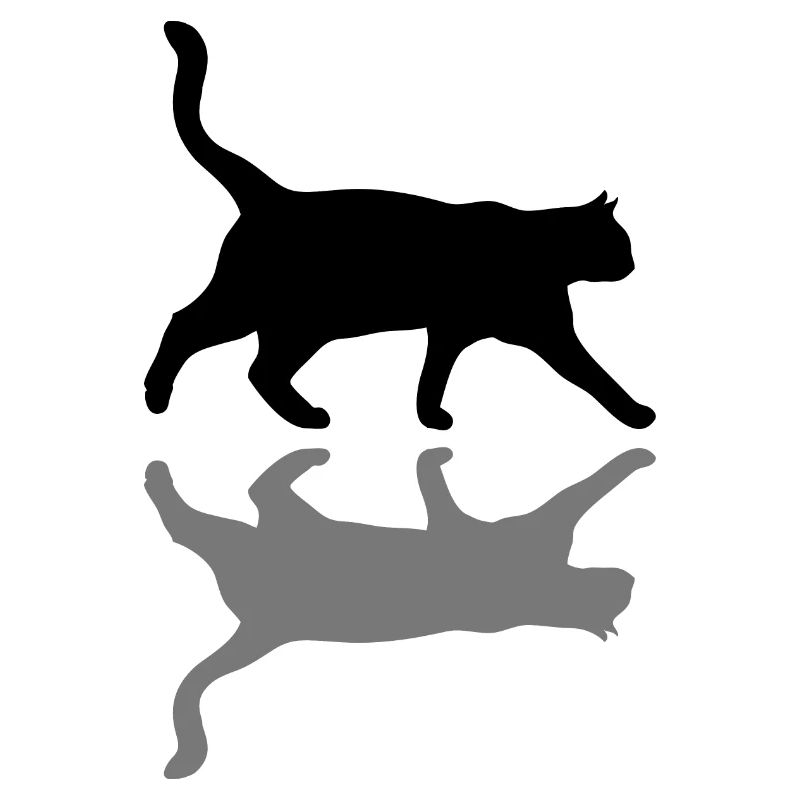 chat Katze