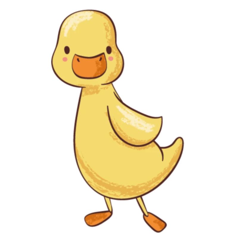 Canard