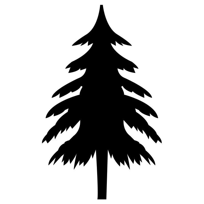 fir tree