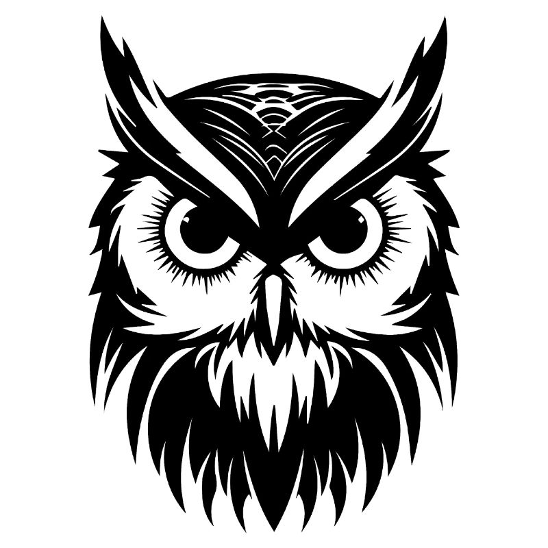 Eule Eulen Vogel Vögel