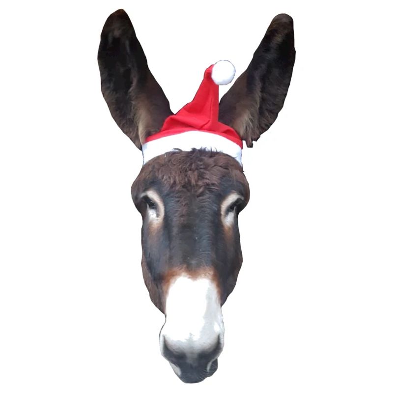 Âne de Noël