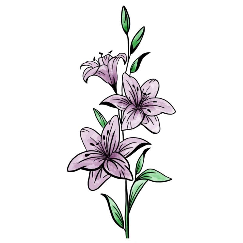 Lys
